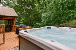Liberty Tree Cabin - Image 2